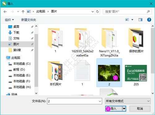 CDR圖文設(shè)計(jì)與排版技巧 打造專業(yè)視覺作品的實(shí)用指南